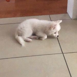 Meet your Posher, Miriam